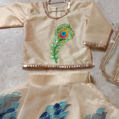 Hand-Painted Raw Silk Lehenga – Elegant Motive Peacock Design